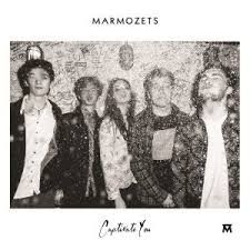 Marmozets Captivate You